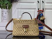 LV Vanity Chain Pouch Natural Tan Raffia M14303 - 19x6.5x11.5cm - 4
