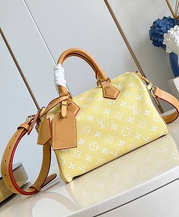 LV Speedy P9 Bandouliere 25 Autres Cuirs Monogram Lemonade M13902 - 25x15x15cm