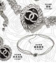 Spring-Summer 2025 Chanel Chain Belt Metal Resin & Diamantés Silver Black & Crystal - 6