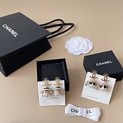 Fall-Winter 2025 Chanel Earrings Metal Resin & Glass Pearls Gold Pink Black & Pearly White - 4