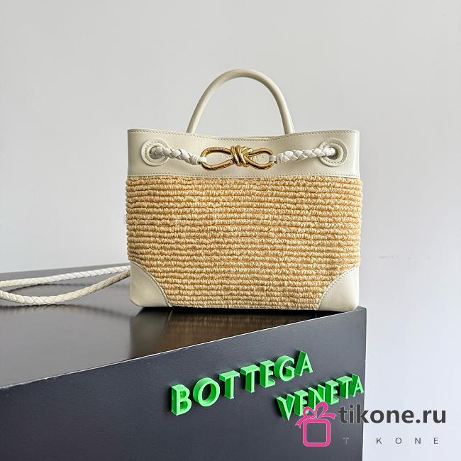 Bottega Veneta Small Andiamo Raffia SeaSalt/Natural - 25x20x10cm - 1