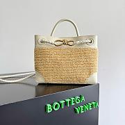 Bottega Veneta Small Andiamo Raffia SeaSalt/Natural - 25x20x10cm - 6