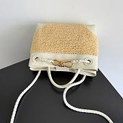 Bottega Veneta Small Andiamo Raffia SeaSalt/Natural - 25x20x10cm - 5
