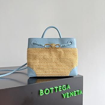 Bottega Veneta Small Andiamo Raffia Ice/ Natural - 25x20x10cm