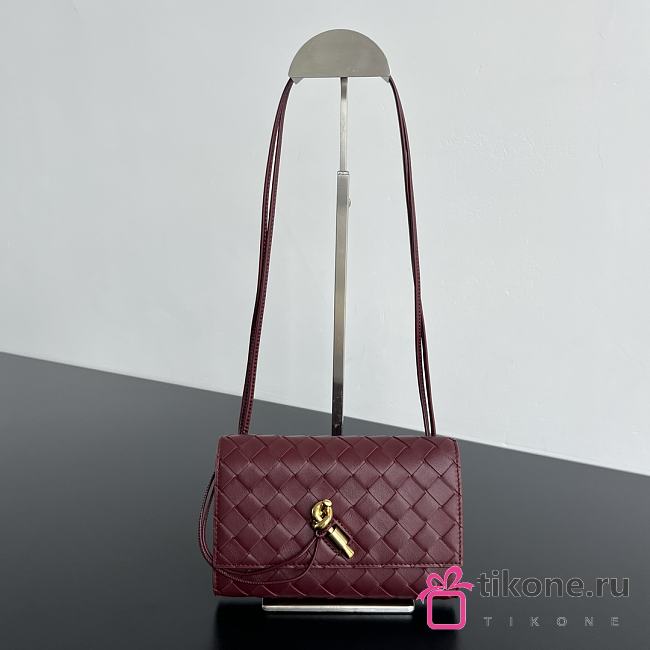 Bottega Veneta Andiamo Pouch Burgundy - 19x12.6x2cm - 1