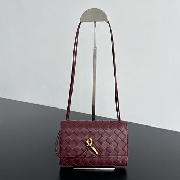 Bottega Veneta Andiamo Pouch Burgundy - 19x12.6x2cm