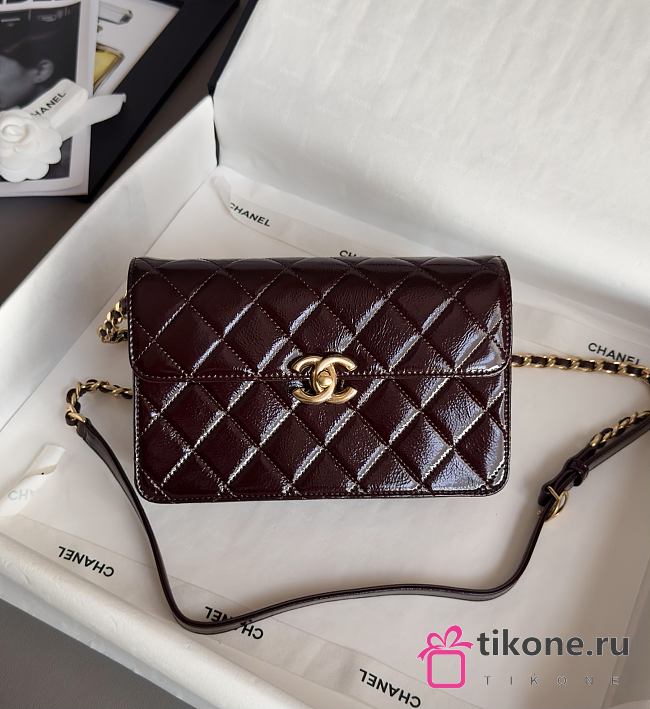 Chanel Mini Flap Bag Patent Lambskin & Gold Tone Metal Burgundy - 12x19.5x5cm - 1