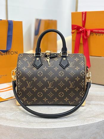 LV Speedy Trunk 25 Monogram M26181 - 27x20x15cm