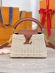 LV Capucines Mini Smooth and Rattan Brown - 21x14x8cm - 1