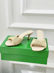 Bottega Veneta Blink Mule Raffia Natural 3cm - 4