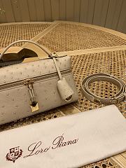 Loro Piana Extra Bag L23 Ostrich Leather Orix - 23x12x7cm - 3