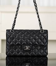 Chanel Classic Black Caviar Silver Hardware Bag - 14.5x23x6cm - 1