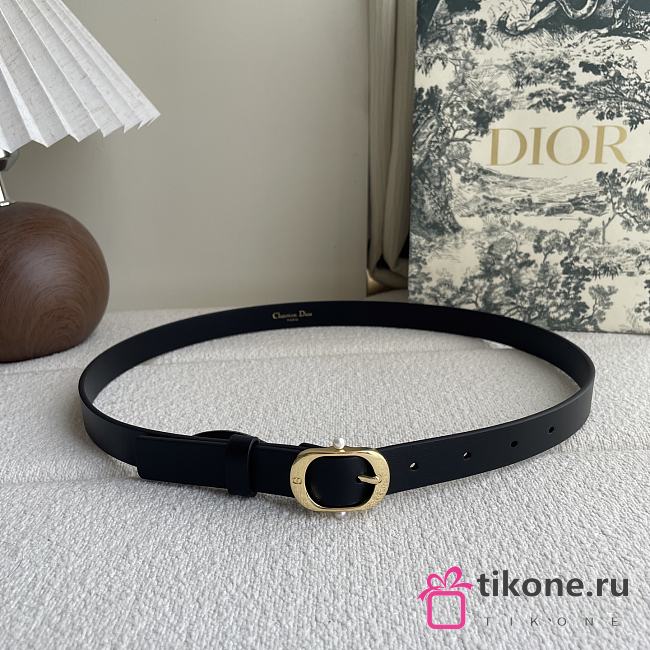 Dior Chic Belt Black Smooth Calfskin 20mm - 1