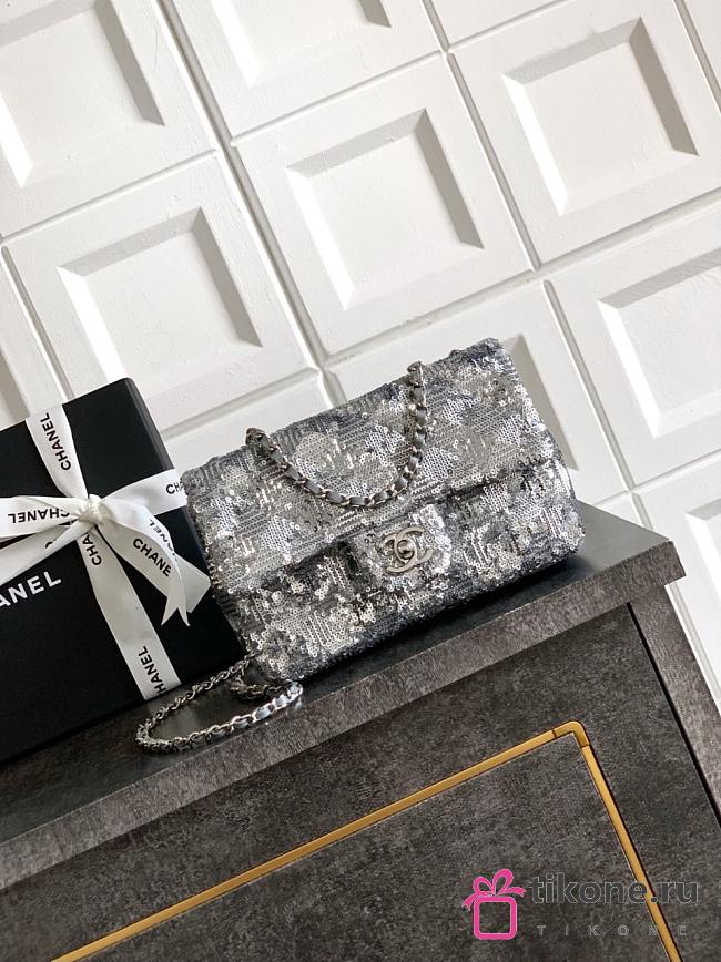 Chanel Evening Bag Quilted Sequins & Silver Tone Metal Silver - 20x10x7cm - 1