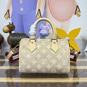 LV Travels With Grace Coddington Speedy Bandouliere 20 Meowgram M15151 - 20.5x13.5x12cm - 2