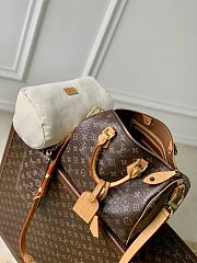 LV Speedy P9 30 Alligator Leather Chocolate - 32x22.5x18cm - 6