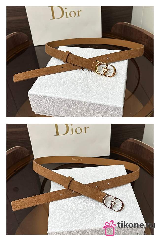 Dior Lucky 30 Montaigne Star Belt In Suede Brown 20mm - 1