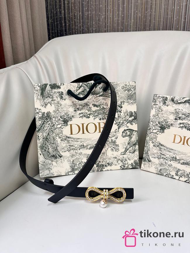 Dior Le Nœud de Dior Belt Black 18mm - 1