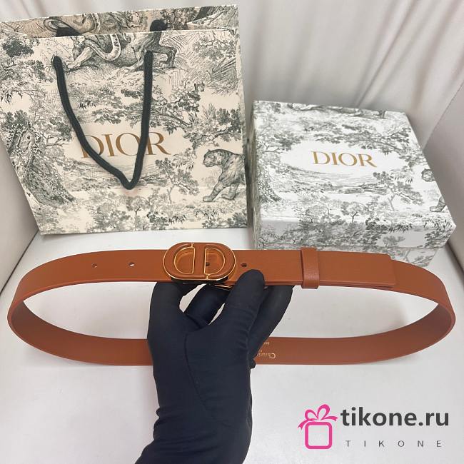 Dior 30 Montaigne Belt Brown 25mm - 1