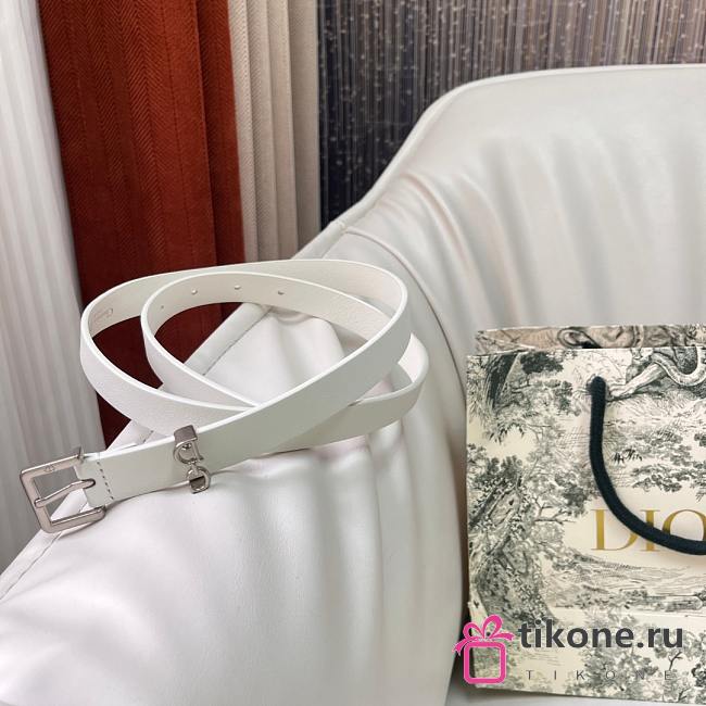 Dior Saddle Loop Belt White Smooth Calfskin Silver 20mm - 1