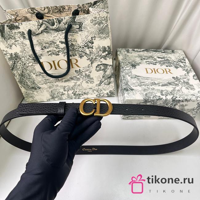 Dior Saddle Belt Black Grained Calfskin 20mm - 1