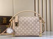 LV Travels With Grace Coddington Side Trunk GM Meowgram M15154 - 30x20x10cm - 4