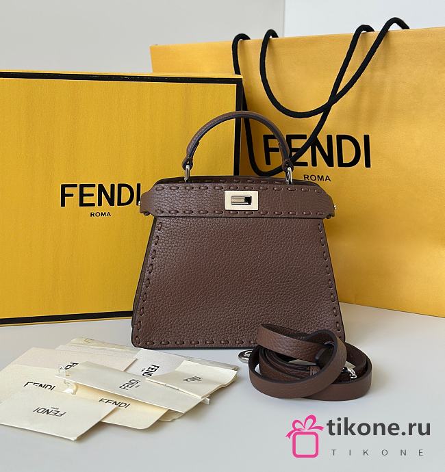 Fendi Peekaboo ISeeU Petite Dark Brown Selleria Bag - 20x15.5x11cm - 1