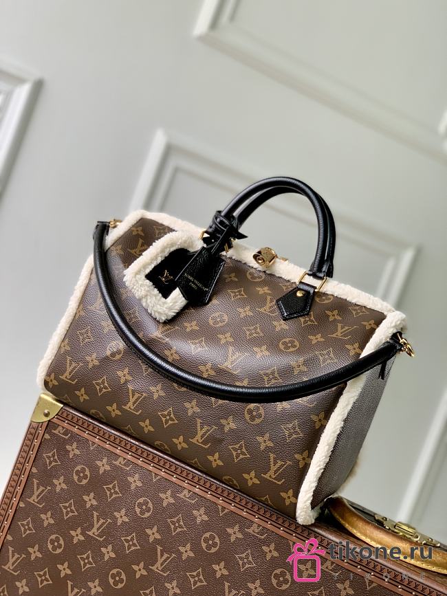 LV Ski Speedy Soft 30 Teddy Monogram Shearling M26326 - 30x21x17cm - 1