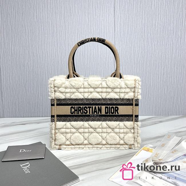 Small Dior Book Tote Lambskin Wool Unbleached Caning Beige - 26.5x22x14cm - 1