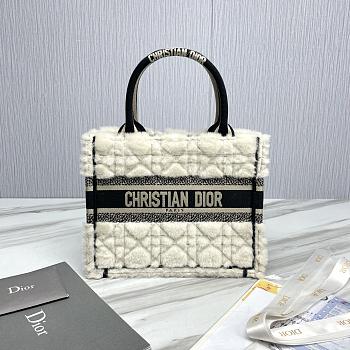 Small Dior Book Tote Lambskin Wool Unbleached Caning White - 26.5x22x14cm
