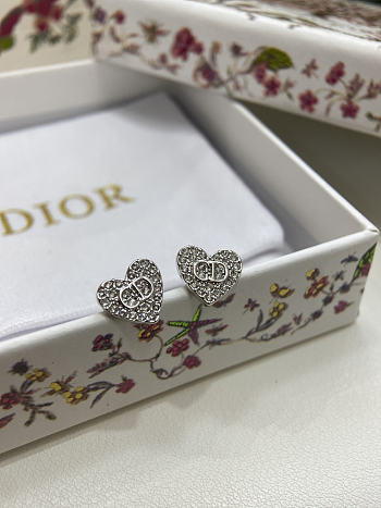Dior Tribales Earrings Gold Finish and Silver Finish Metal