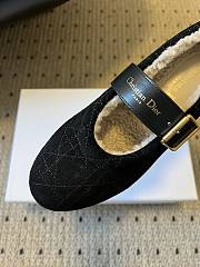 DiorAlps Dior Frost Ballet Flat Black Cannage Suede Calfskin - 4