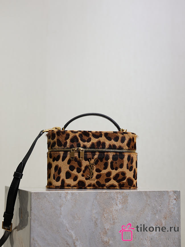 YSL Saint Laurent Gaby Leopard-Print Calf Hair Vanity Bag in Natural - 18x11x6.5cm - 1