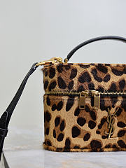 YSL Saint Laurent Gaby Leopard-Print Calf Hair Vanity Bag in Natural - 18x11x6.5cm - 6