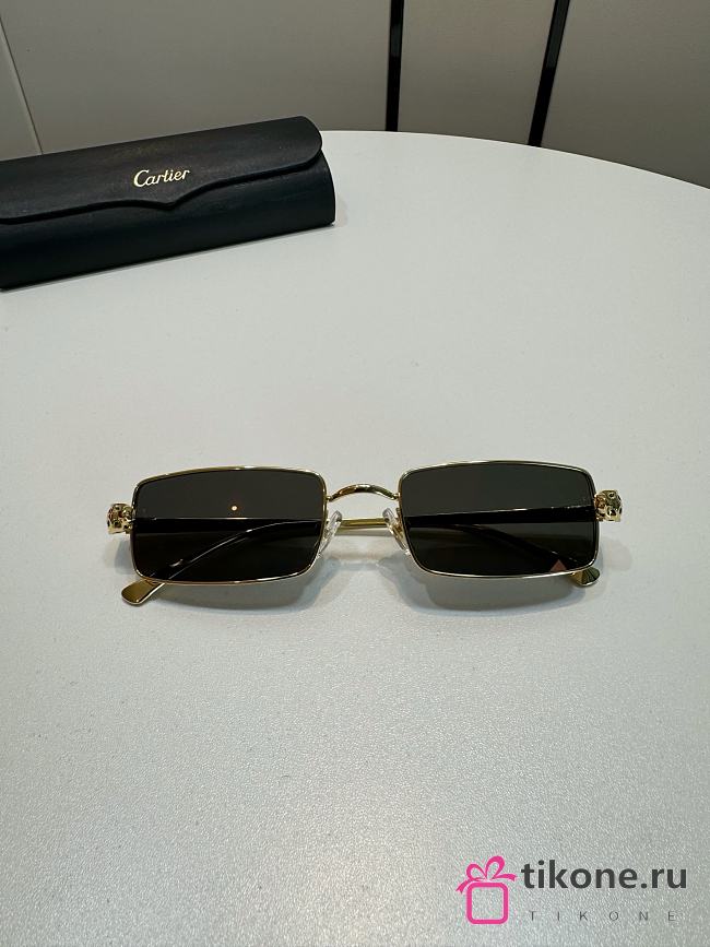 Cartier Sunglasses CT0473S - 1