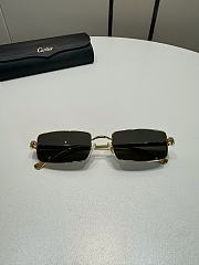 Cartier Sunglasses CT0473S - 1