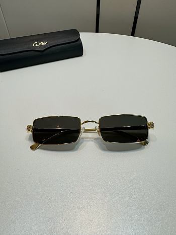 Cartier Sunglasses CT0473S