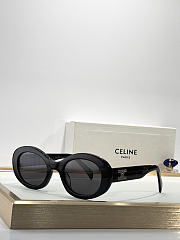 Celine Sunglasses Black Silver CL40194U  - 1