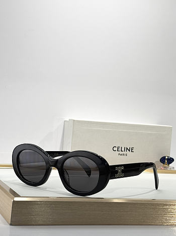 Celine Sunglasses Black Silver CL40194U 