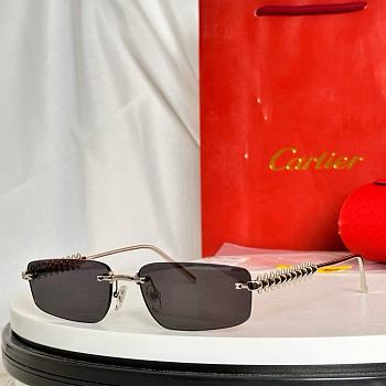 Cartier Sunglasses Black CT0544S