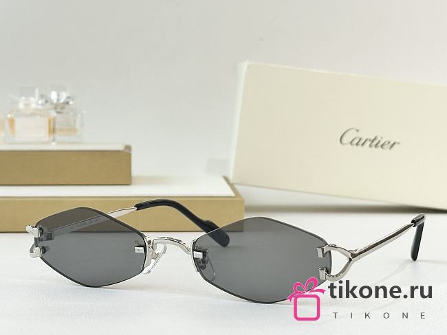 Cartier Sunglasses CT8100359 - 1