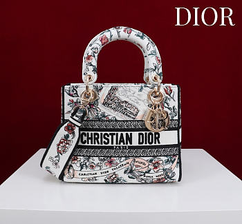 Dior Medium Lady D-Lite Bag Pink Souvenir de Rome Embroidery - 24x21x12cm