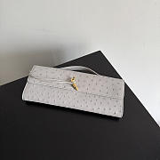 Bottega Veneta Andiamo Clutch in Ostrich Leather Sterling - 31x13x3cm - 6