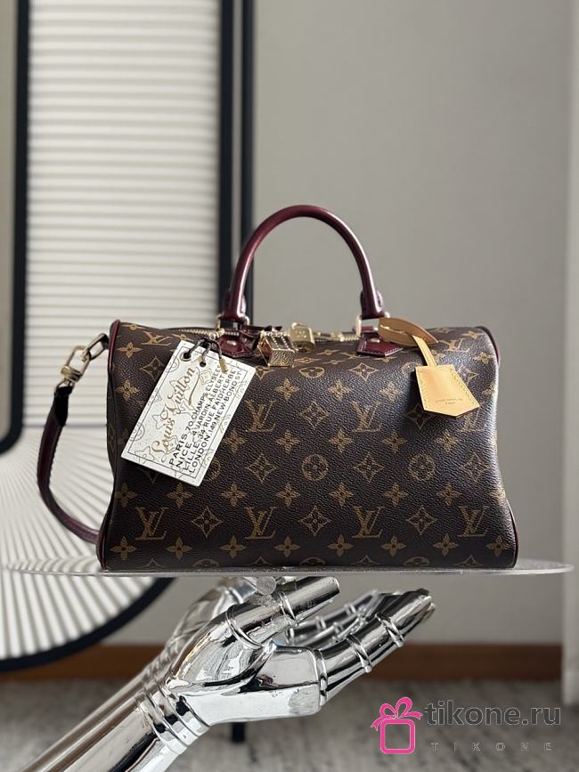 LV Speedy 30 Soft Celebration M28379 - 30x21x17cm - 1