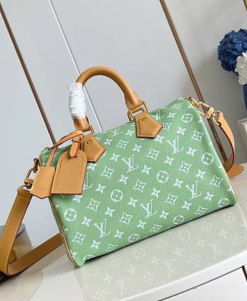 LV Speedy P9 Bandouliere 30 Frozen Lime Calf Leather M14064 - 32x22.5x18cm