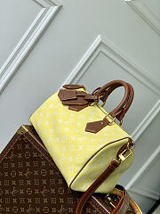 LV Speedy P9 Bandouliere 30 Yellow Calf Leather M15243 - 32x22.5x18cm - 3