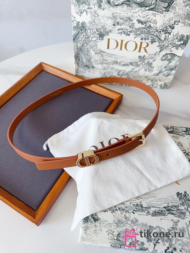 Dior 30 Montaigne Loop Belt Brown Calfskin 15mm - 1