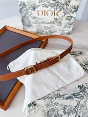 Dior 30 Montaigne Loop Belt Brown Calfskin 15mm - 5