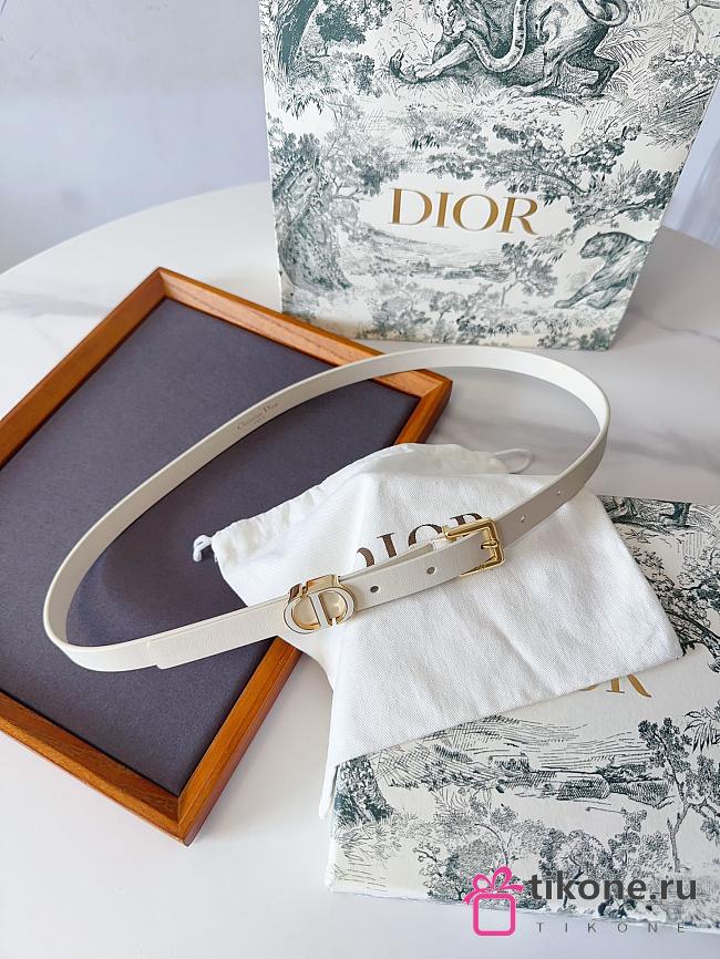 Dior 30 Montaigne Loop Belt Latte Calfskin 15mm - 1