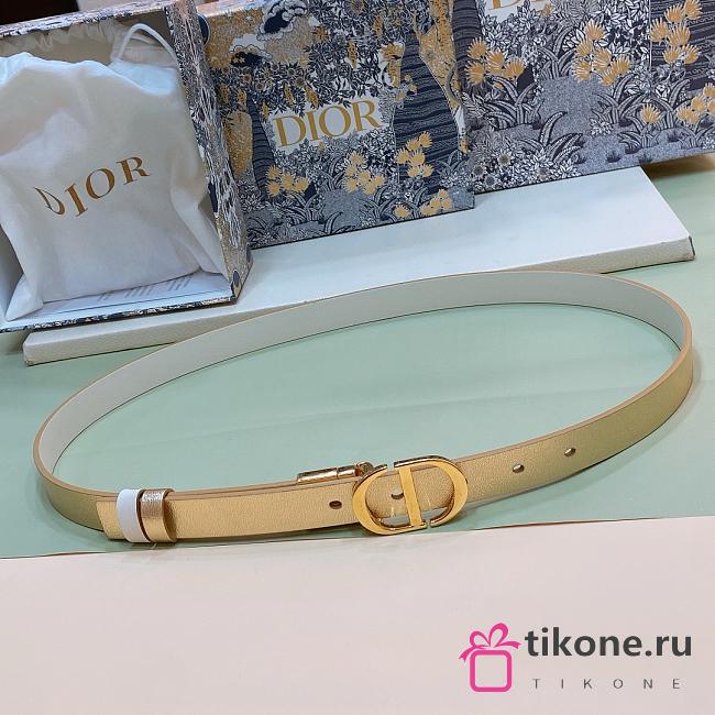 Dior 30 Montaigne Reversible Belt Dark Brown and Black Smooth Calfskin 20mm - 1